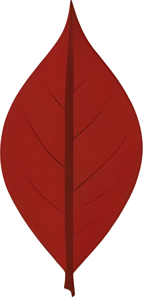 rendy Foliage Design, Leaf PNG Download, Tropical different type exotic leaves set_13.webp